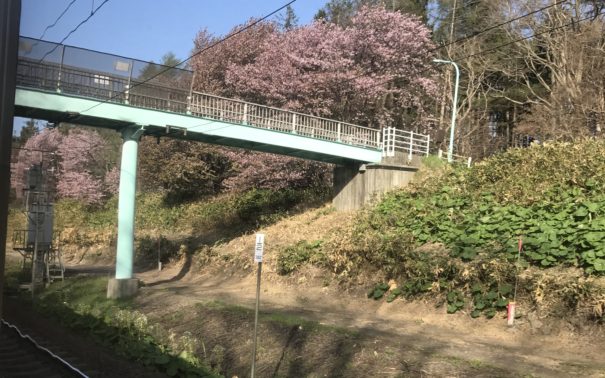 食欲の秋　スポーツの秋　芸術の秋・・・秋